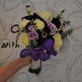 fwthumbPurple orchid htie.jpg